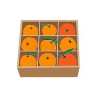 negen vers sinaasappels met bladeren in een cel papier doos. vector vlak illustratie geïsoleerd Aan wit achtergrond.