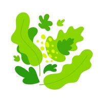 samenstelling van abstract salade groenen. vector vlak kleur illustratie isolatd Aan wit achtergrond.