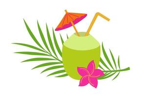 jong kokosnoot schelp met rietje en paraplu.kokosnoot water of cocktail. vlak vector illustratie geïsoleerd Aan wit achtergrond.