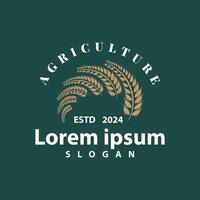 tarwe graan rijst- logo, gemakkelijk ontwerp biologisch vector illustratie icoon sjabloon