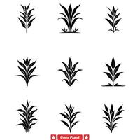aard premie gedetailleerd maïs fabriek silhouet verzameling ideaal voor landbouw logos en eco vriendelijk merken vector