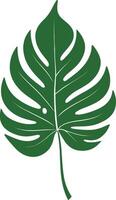 tropisch groen blad, palm boom blad, kokosnoot boom blad, strand boom blad, zomer blad vector