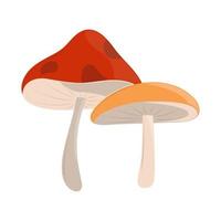 paddestoelen planten icoon vector