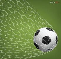 voetbal voetbal in doel en wit net. vector. vector