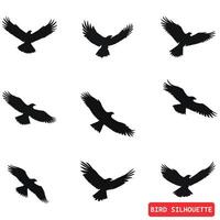 vogelstand in beweging dynamisch vogel silhouetten voor grafisch ontwerp vector