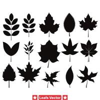 botanisch schoonheid bevallig blad silhouet verzameling vector