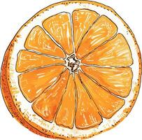 oranje voor de helft fruit voedsel decoratie. vector