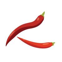 vector chili peper ingrediënt Aan wit achtergrond