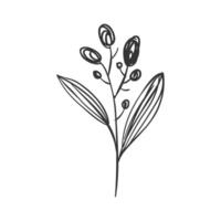 vector hand- getrokken gemakkelijk bloem schets