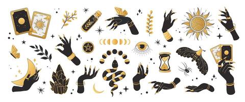 boho mystiek, esoterisch reeks van vector pictogrammen en stickers. zwart en goud kleur. heks handen, tarot kaarten, oog, slang, maan- dag, mot, spin, Kristallen, toverdrank
