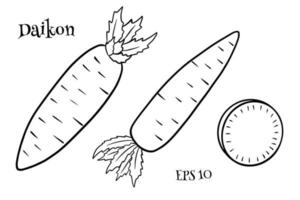 daikon-set. verse daikon en gesneden wiggen. vector