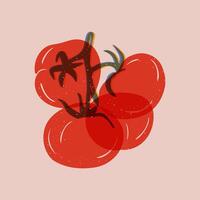 bundel van tomaten. risoprint imitatie met grunge effect. gezond voedsel concept. plein poster of achtergrond. risografie samenstelling met krassen vector