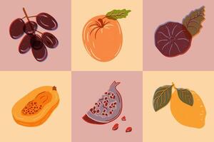 fruit samenstelling met risografie imitatie. horizontaal banier of patroon. retro stijl. gezond voedsel concept. verschillend tropisch fruit in contrast pleinen vector