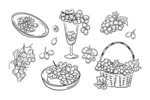 verzameling van vaag contour tekeningen van druiven. vector zwart schets doodles van takken van bessen Aan wit achtergrond. ideaal voor kleur Pagina's, tatoeëren, patroon