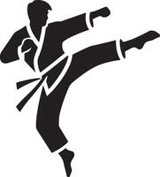 minimaal karate vechten vector icoon in vlak stijl zwart kleur silhouet, wit achtergrond 8