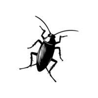 kakkerlak kever vector icoon. kakkerlak silhouet insect zwart icoon illustratie plaag