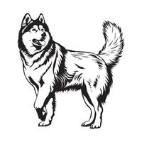 Alaska malamute hond beeld geïsoleerd wit achtergrond voorraad vector