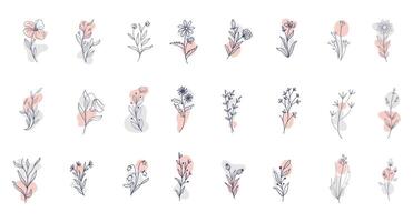 reeks van modieus wilde bloemen en minimalistische bloemen voor logo of decoraties. hand- getrokken lijn bruiloft kruid, elegant bladeren voor uitnodiging opslaan de datum kaart. botanisch rustiek modieus groen vector