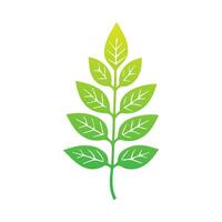 groen blad icoon. bladeren icoon Aan geïsoleerd achtergrond. verzameling groen blad. elementen ontwerp voor natuurlijk, ecologisch, veganistisch, bio etiketten. vector illustratie