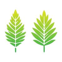 groen blad icoon. bladeren icoon Aan geïsoleerd achtergrond. verzameling groen blad. elementen ontwerp voor natuurlijk, ecologisch, veganistisch, bio etiketten. vector illustratie