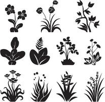mooi planten met bladeren zwart silhouet vector