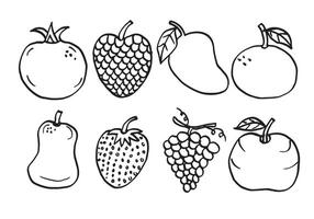 divers fruit schetsen Aan wit achtergrond.vector illustratie. vector
