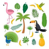 toekan, kolibrie en flamingo. zomer tropisch grafisch elementen. vlak ontwerp. oerwoud bloemen achtergrond. oerwoud vogels. banaan, ananas, palma vector