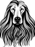 afghaan hond, zwart en wit vector illustratie