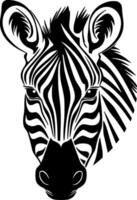 zebra, zwart en wit vector illustratie