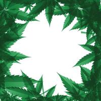 groen marihuana blad vector vector marihuana blad achtergrond beeld marihuana blad illustratie