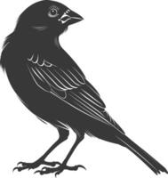 ai gegenereerd silhouet huis mus vogel dier zwart kleur enkel en alleen vector