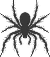 ai gegenereerd silhouet spin dier zwart kleur enkel en alleen vector