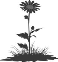 ai gegenereerd silhouet aster bloem in de grond zwart kleur enkel en alleen vector