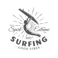 surfing etiket geïsoleerd Aan wit achtergrond vector