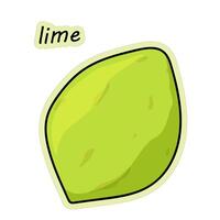 limoen is citrus. hand- getrokken limoen sticker, vector illustratie in tekening stijl.