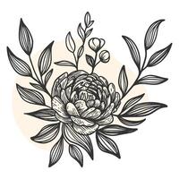 luxe bloemen en logo. modieus botanisch elementen. hand- getrokken lijn bladeren takken en bloeiend. bruiloft elegant wilde bloemen voor uitnodiging opslaan de datum kaart. vector