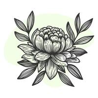 luxe bloemen en logo. modieus botanisch elementen. hand- getrokken lijn bladeren takken en bloeiend. bruiloft elegant wilde bloemen voor uitnodiging opslaan de datum kaart. vector