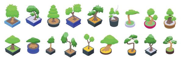 bonsai boom pictogrammen reeks isometrische vector. Japan blad fabriek vector