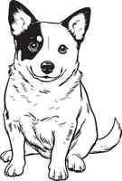 zwart en wit vector illustratie van een Australisch vee hond puppy