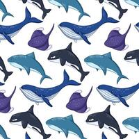 tekenfilm onderzees en oceaan dieren patroon. wild marinier schepsels leven haai, blauw walvis, pijlstaartrog en moordenaar walvis. vector illustratie Aan een wit achtergrond.