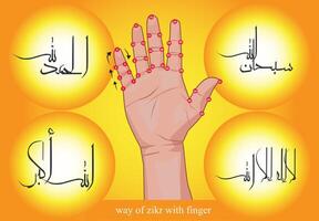 vector manier van zikir gebruik makend van de vingers van de hand- 33 keer met schoonschrift Arabisch doopvont Moslim bidden