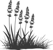 ai gegenereerd silhouet lavendel bloem in de grond zwart kleur enkel en alleen vector