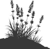 ai gegenereerd silhouet lavendel bloem in de grond zwart kleur enkel en alleen vector