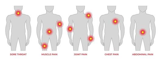 lichaam pijn medisch illustratie met Mens en zeer keel, spier, gewricht, borst en buik pijn vector