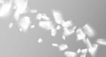 schittering van de zon stralen Aan de muur. wazig schaduwen van bladeren en planten in de kamer. zacht bedekking van natuurlijk licht. vector