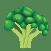 broccoli vector illustratie. detailopname waterverf groente broccoli geïsoleerd Aan groen achtergrond. artistiek hand- getrokken broccoli illustratie. vector illustratie