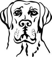 vector schetsen hond ras labrador retrievers