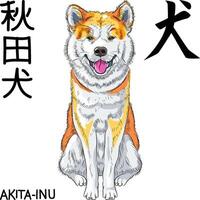 vector schetsen hond akita inu Japans ras glimlacht