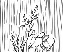 lineair tropisch planten, laina planten, schetsen hand- getrokken illustratie vector