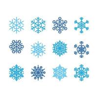 sneeuwvlok winterseizoen decoratie set vector